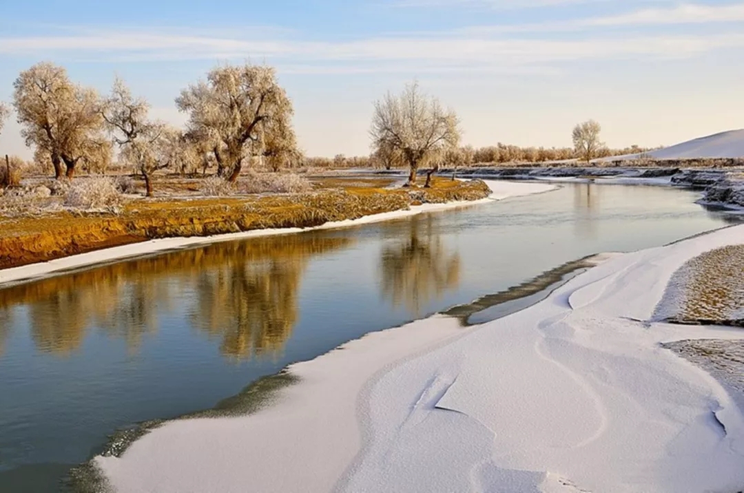 塔河文苑丨刘志清塔里木的冬韵
